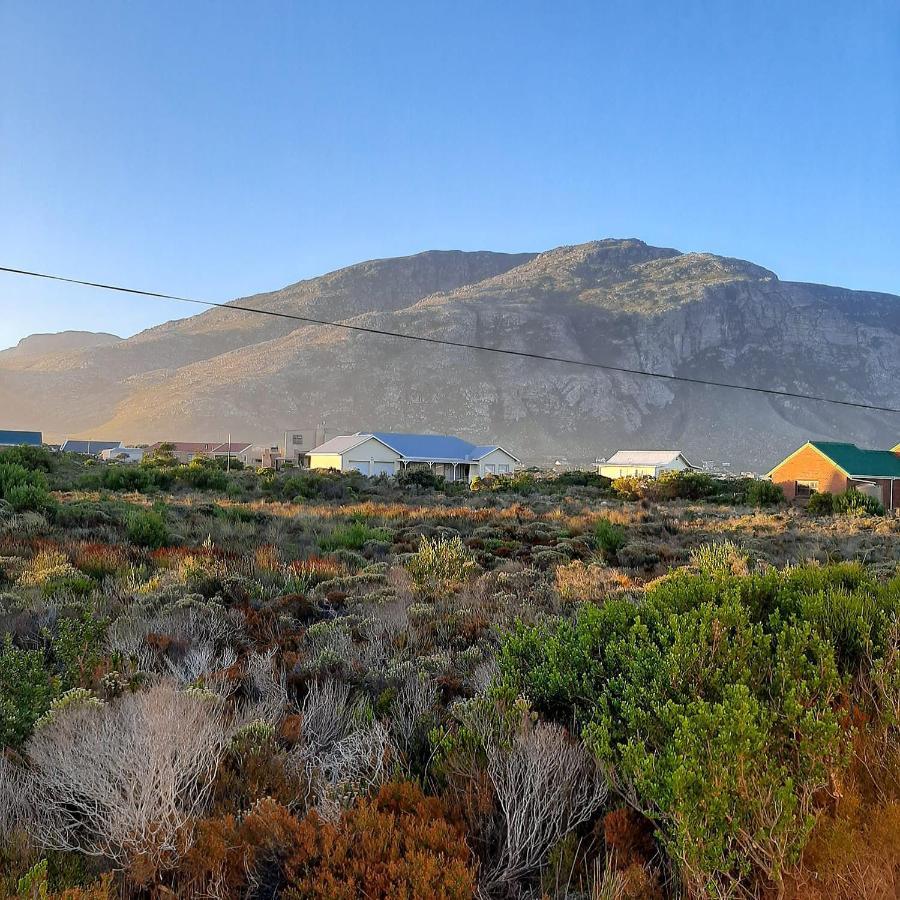 Brandys Beach House Bettys Bay Bettyʼs Bay Exterior foto