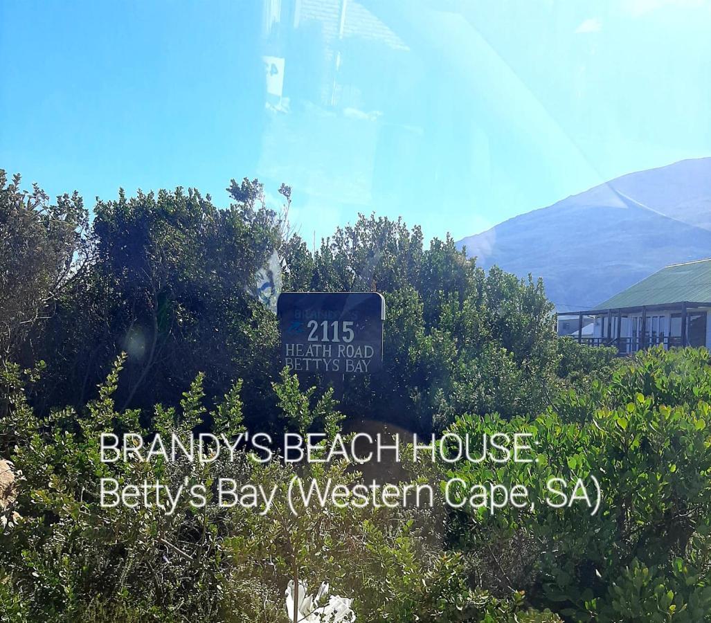 Brandys Beach House Bettys Bay Bettyʼs Bay Exterior foto
