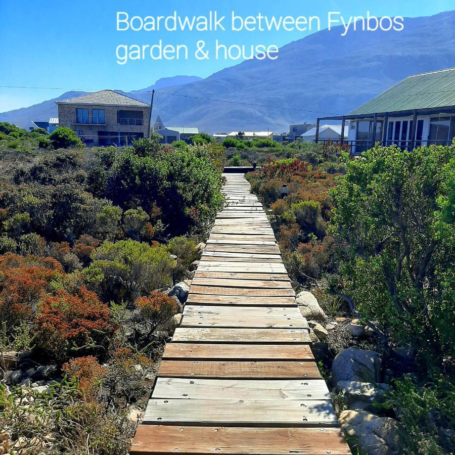 Brandys Beach House Bettys Bay Bettyʼs Bay Exterior foto