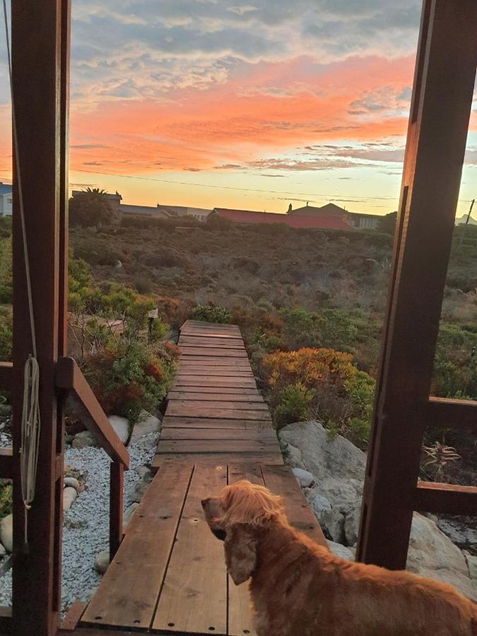 Brandys Beach House Bettys Bay Bettyʼs Bay Exterior foto