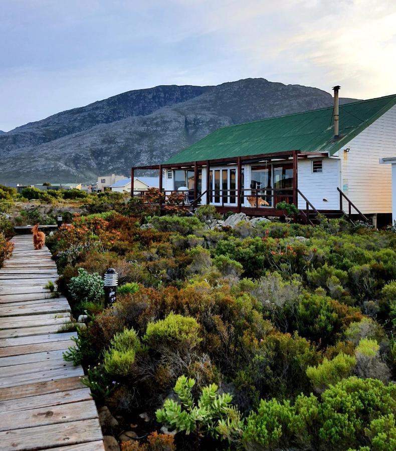 Brandys Beach House Bettys Bay Bettyʼs Bay Exterior foto