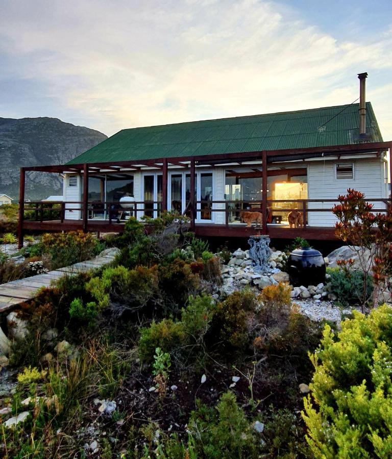 Brandys Beach House Bettys Bay Bettyʼs Bay Exterior foto
