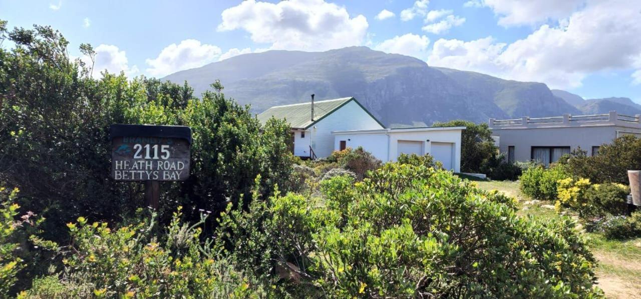 Brandys Beach House Bettys Bay Bettyʼs Bay Exterior foto