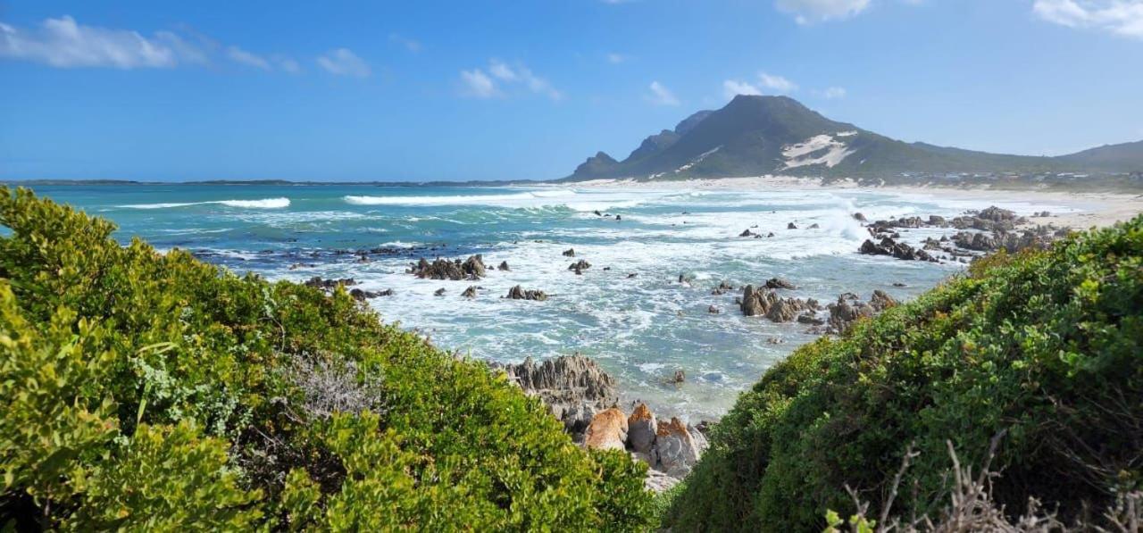 Brandys Beach House Bettys Bay Bettyʼs Bay Exterior foto