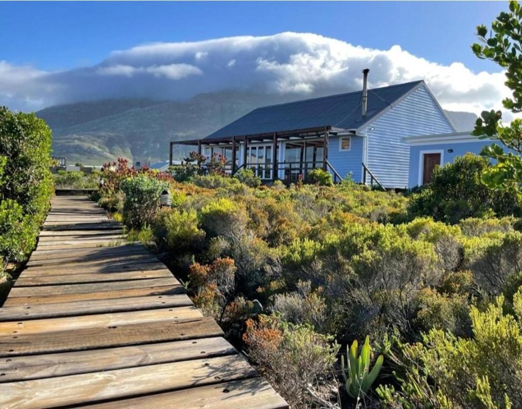 Brandys Beach House Bettys Bay Bettyʼs Bay Exterior foto