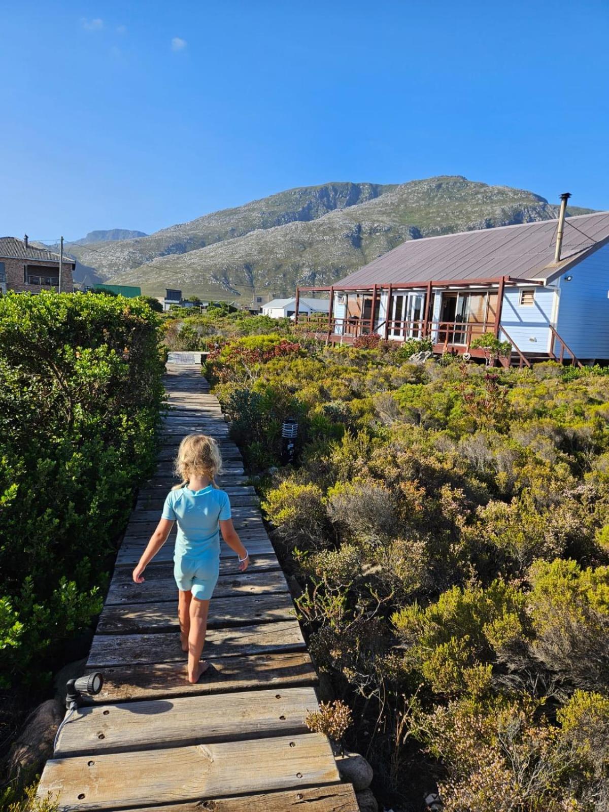 Brandys Beach House Bettys Bay Bettyʼs Bay Exterior foto