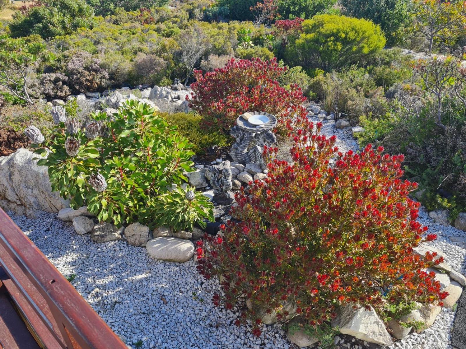 Brandys Beach House Bettys Bay Bettyʼs Bay Exterior foto